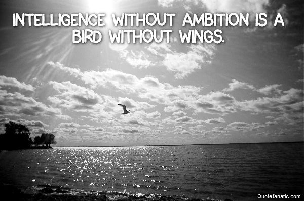 Intelligence without ambition is a bird without wings. 